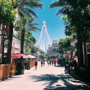 Meet your Posher, Halley